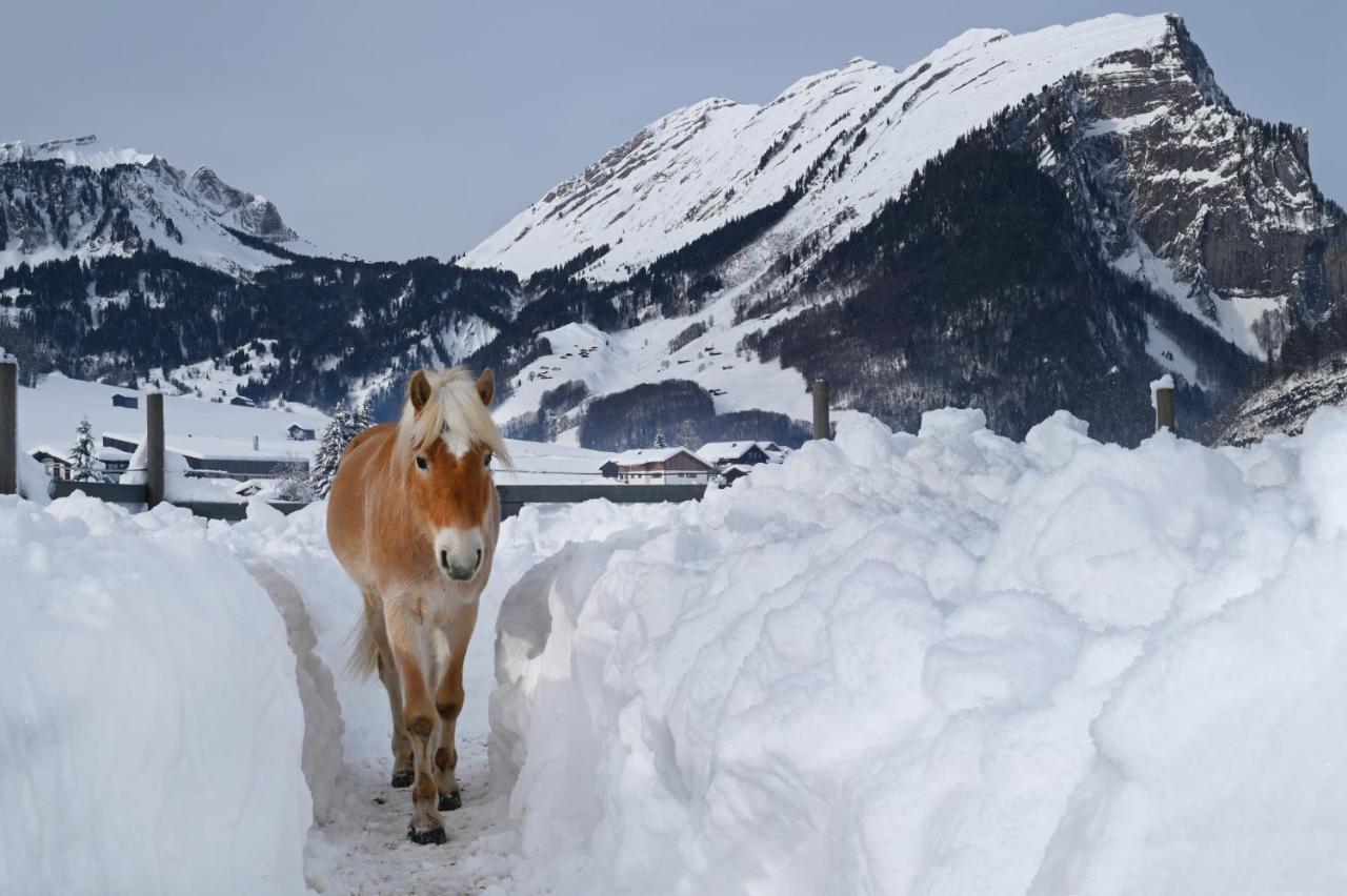Apartamento Haus Bergquell Au (Vorarlberg) Exterior foto